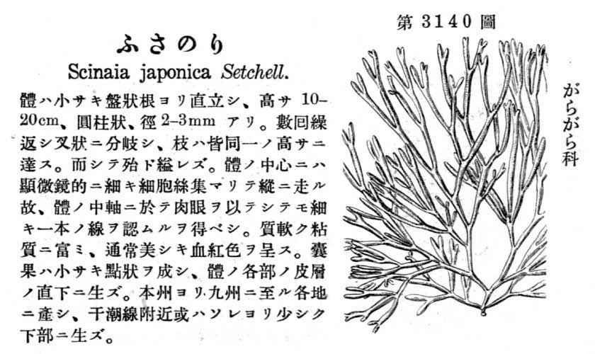 植物図鑑