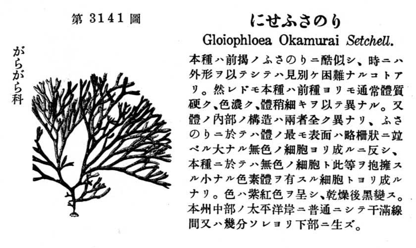 植物図鑑