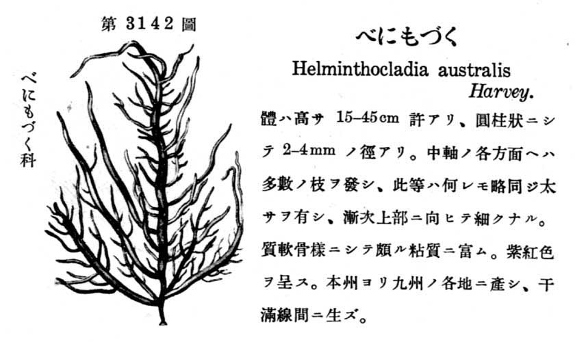 植物図鑑