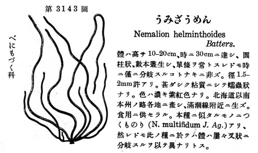 植物図鑑