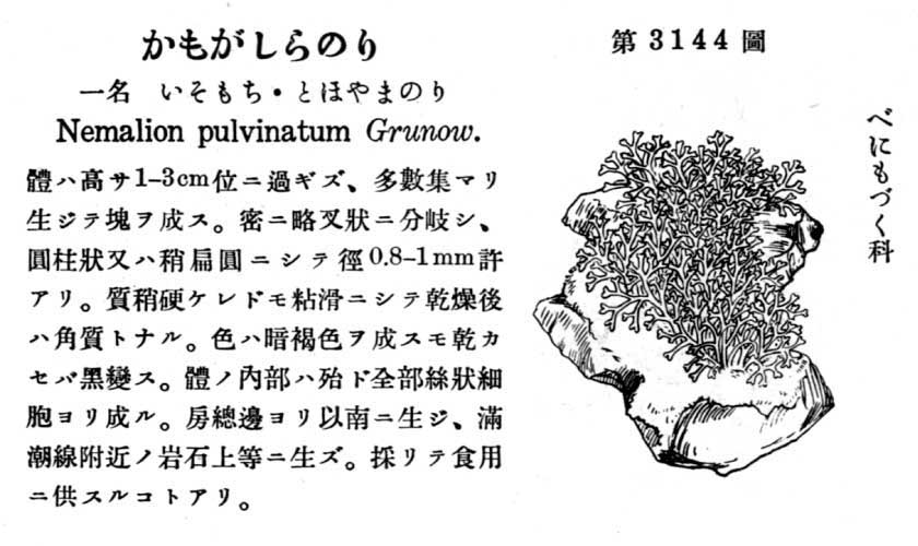 植物図鑑