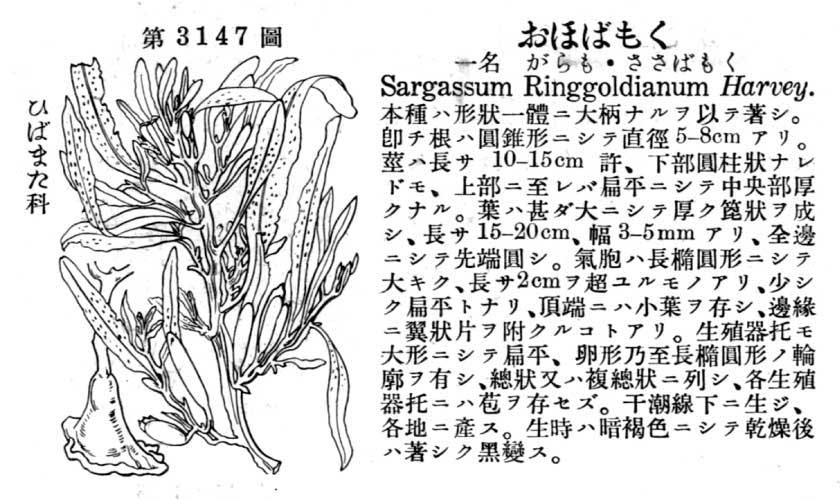 植物図鑑