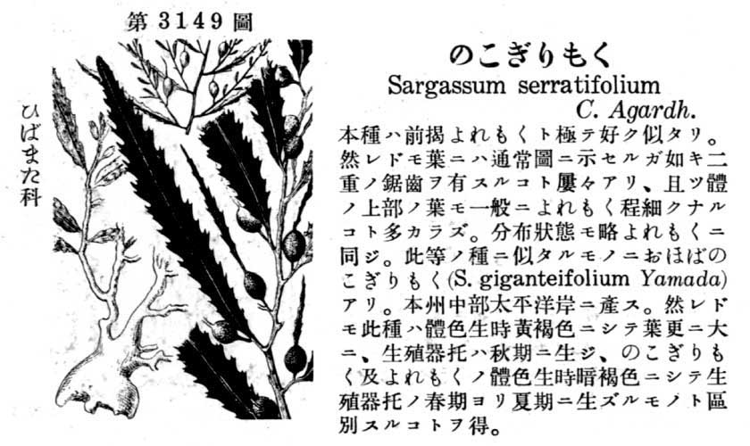 植物図鑑