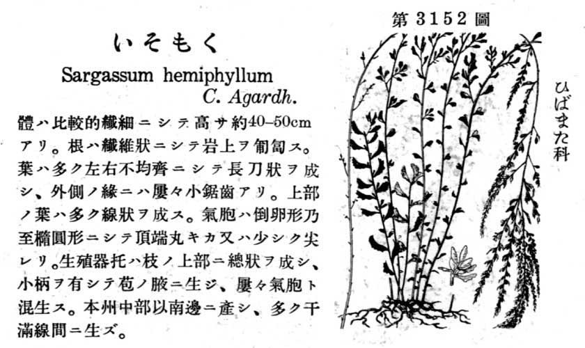 植物図鑑