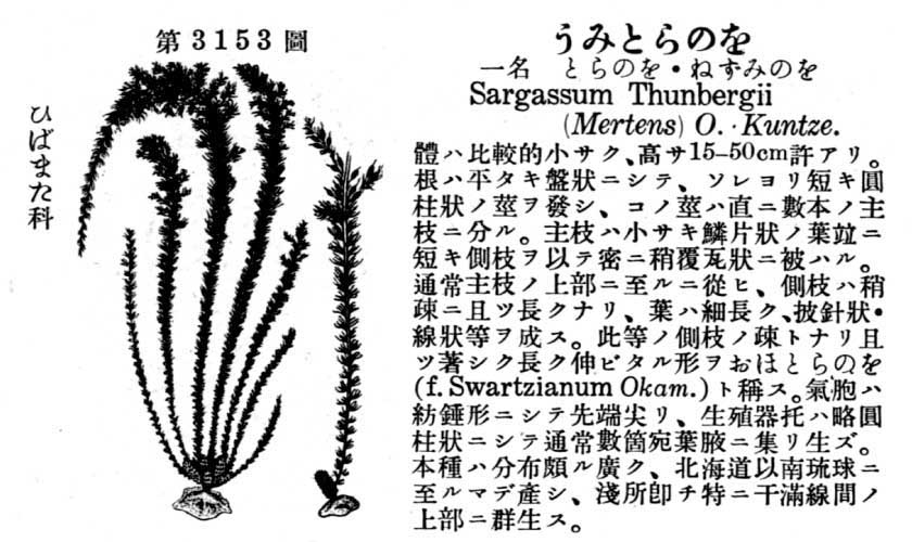 植物図鑑