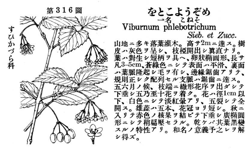 植物図鑑