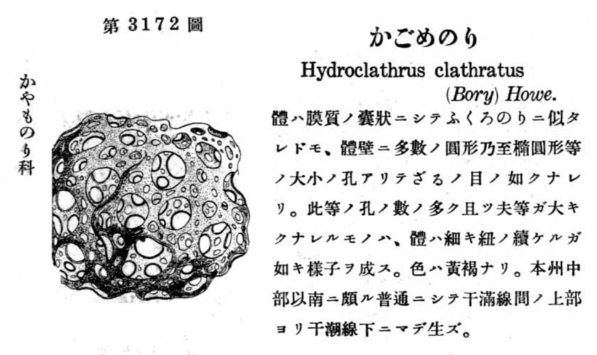 植物図鑑