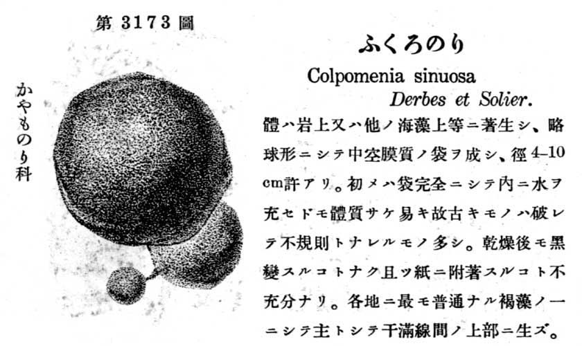 植物図鑑