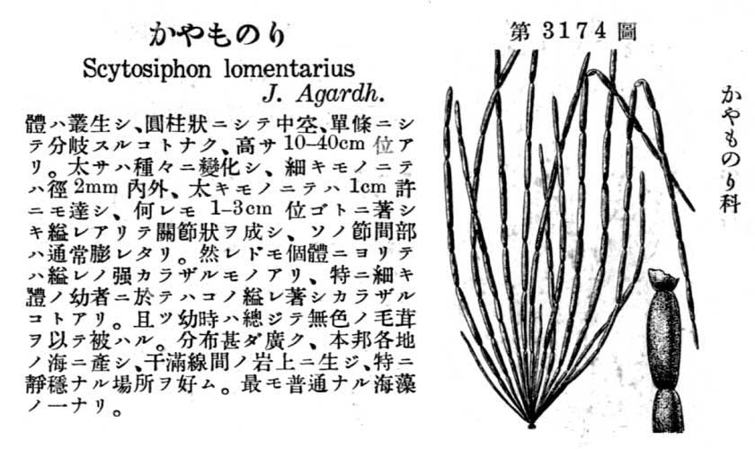 植物図鑑