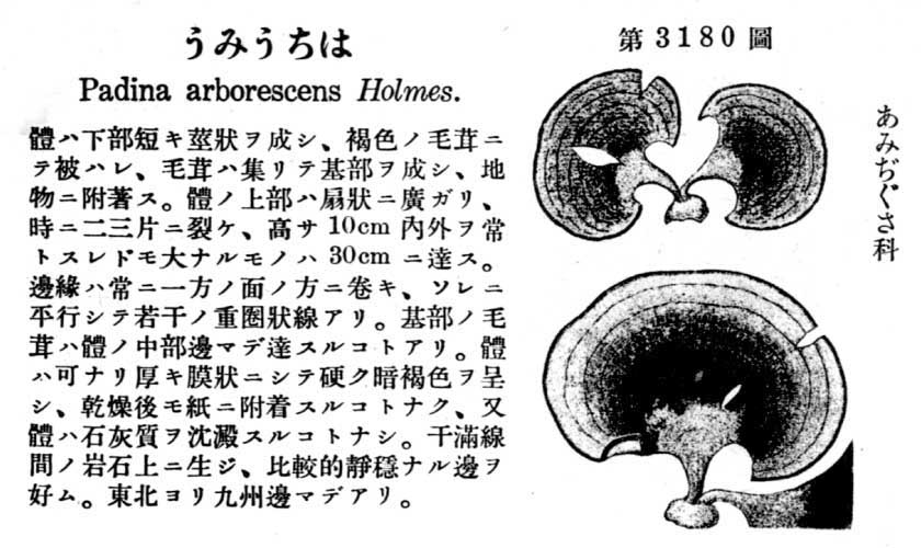 植物図鑑