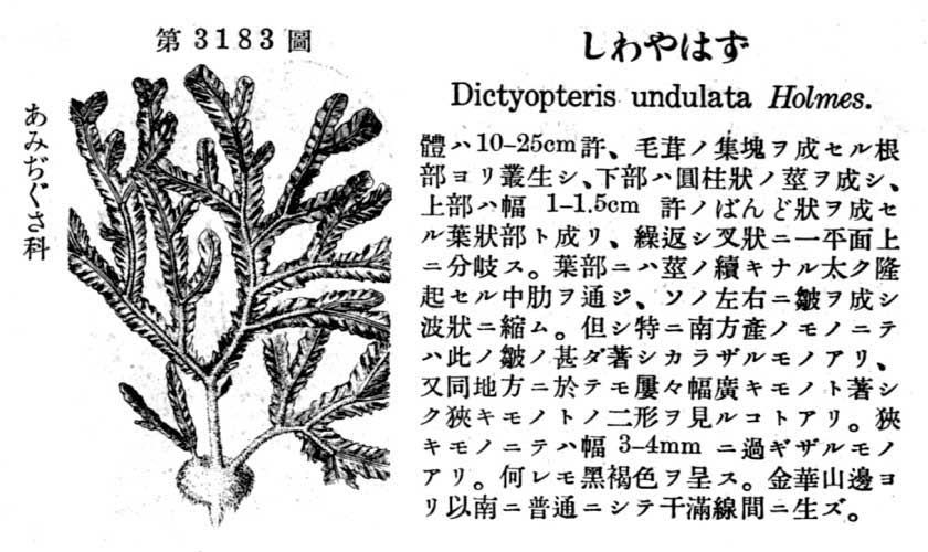 植物図鑑