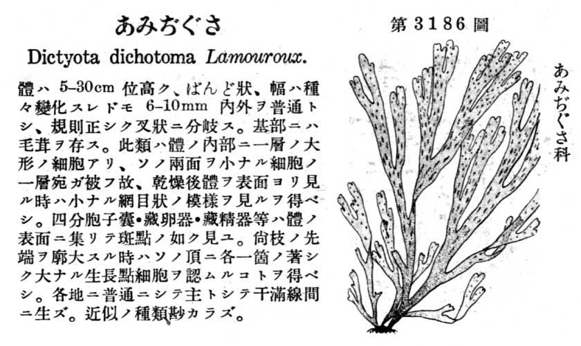 植物図鑑