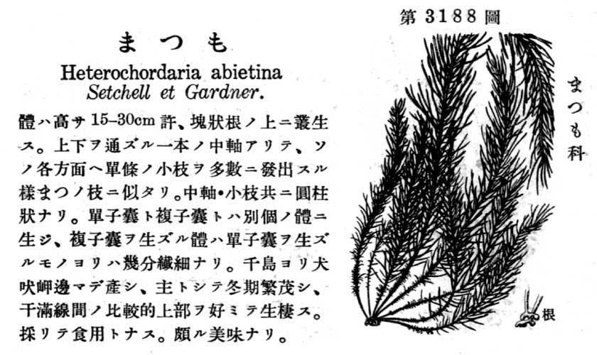 植物図鑑