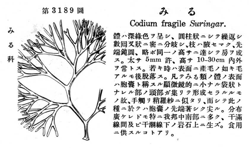 植物図鑑