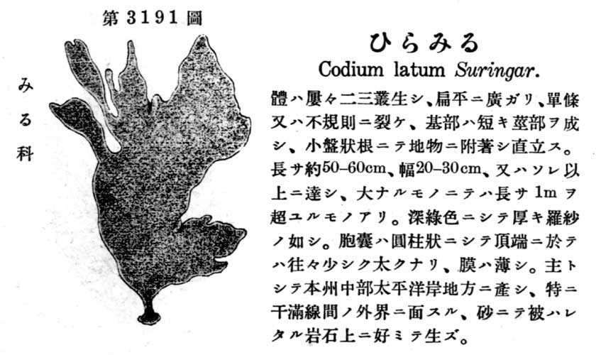 植物図鑑