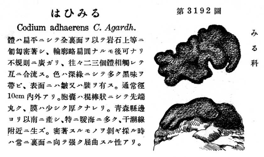 植物図鑑