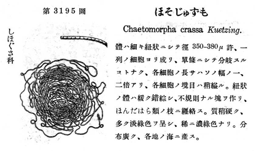 植物図鑑