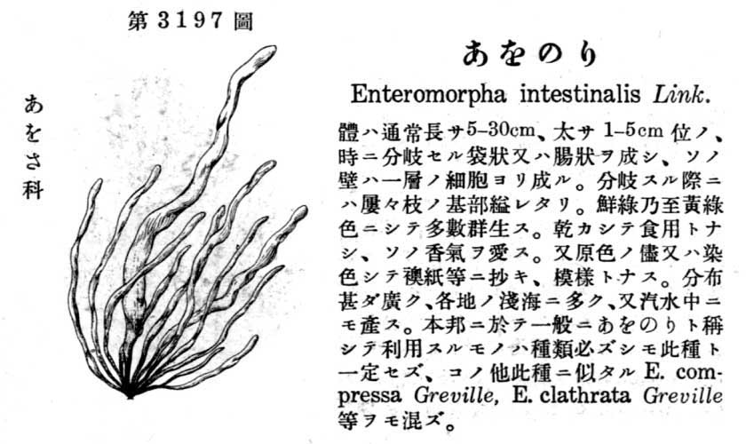 植物図鑑