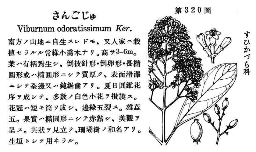 植物図鑑