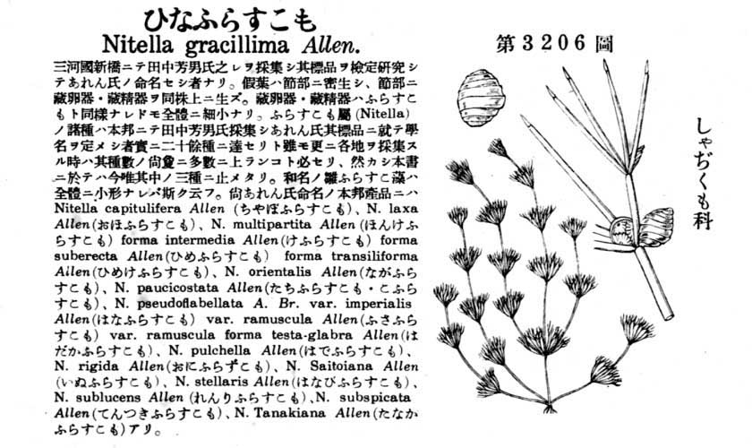 植物図鑑