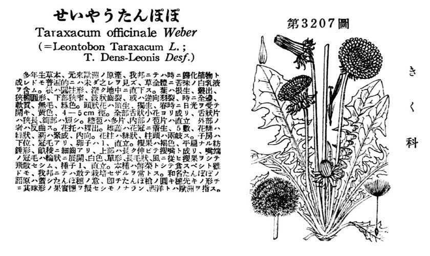 植物図鑑