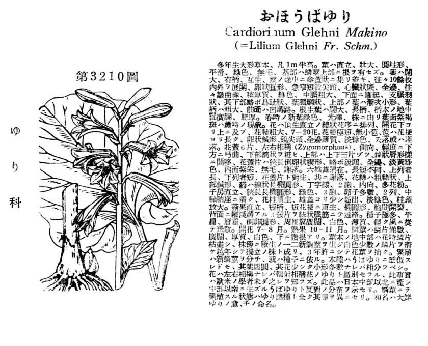 植物図鑑