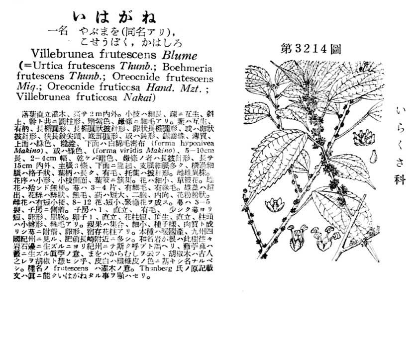 植物図鑑