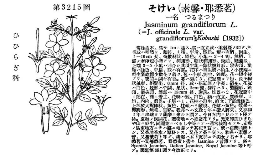 植物図鑑