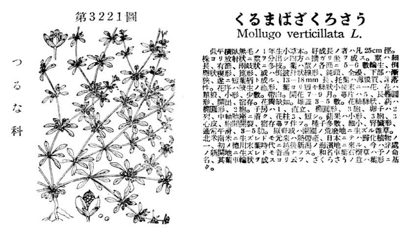 植物図鑑