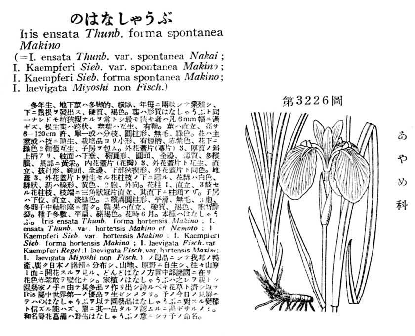 植物図鑑