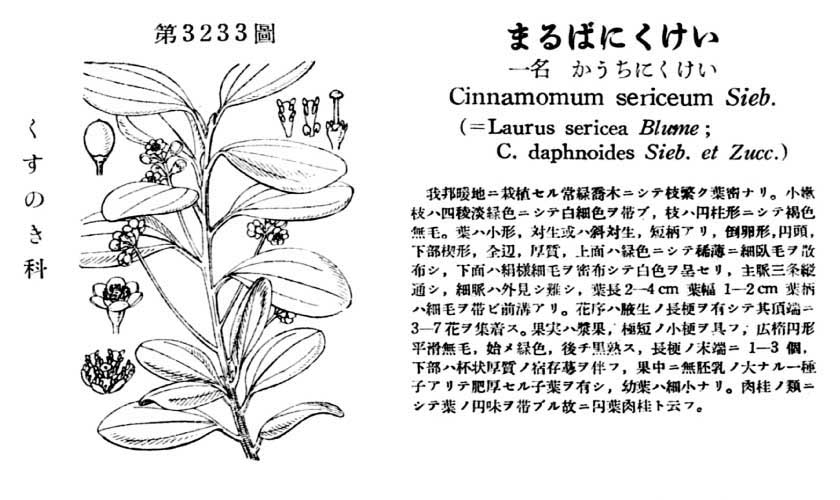 植物図鑑