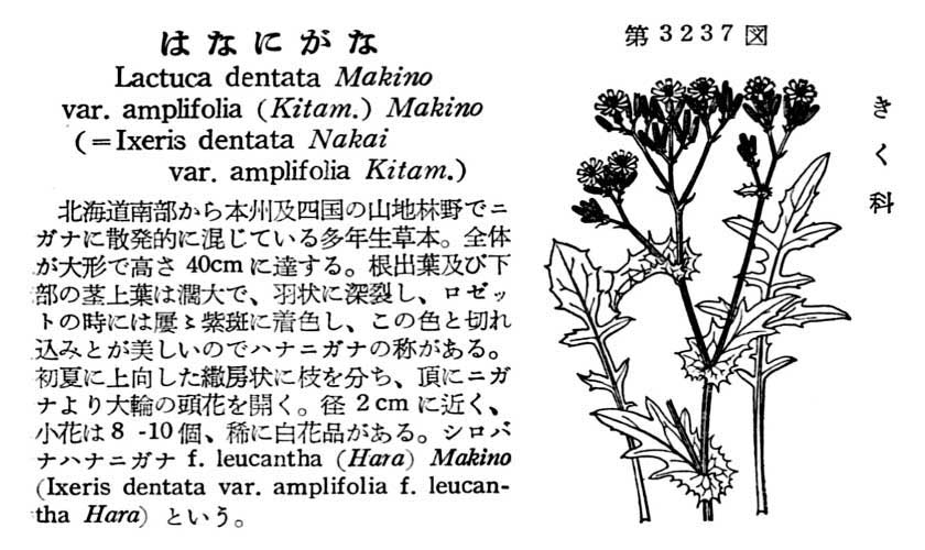 植物図鑑