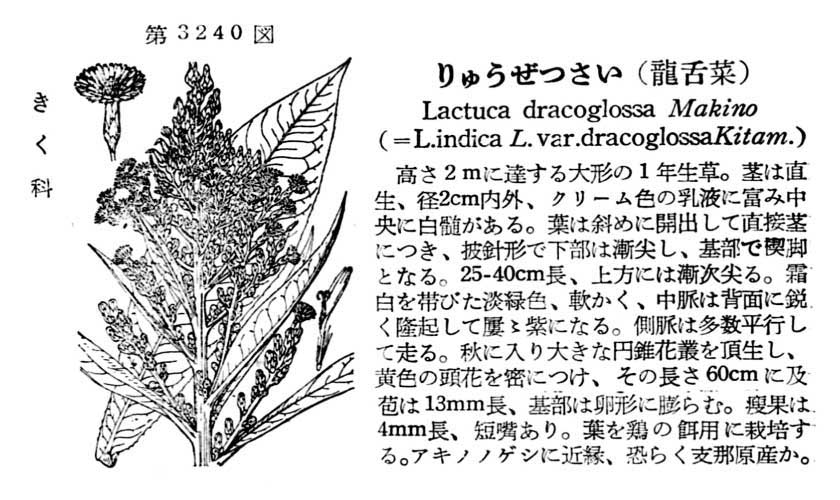 植物図鑑