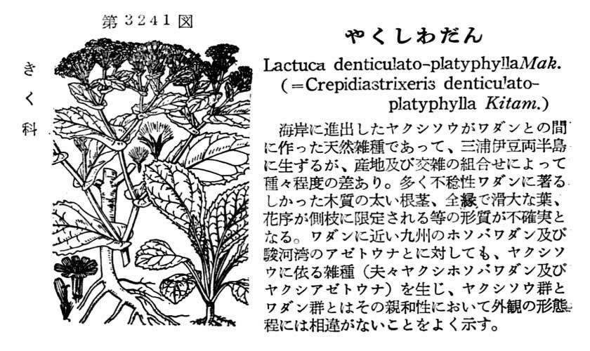 植物図鑑