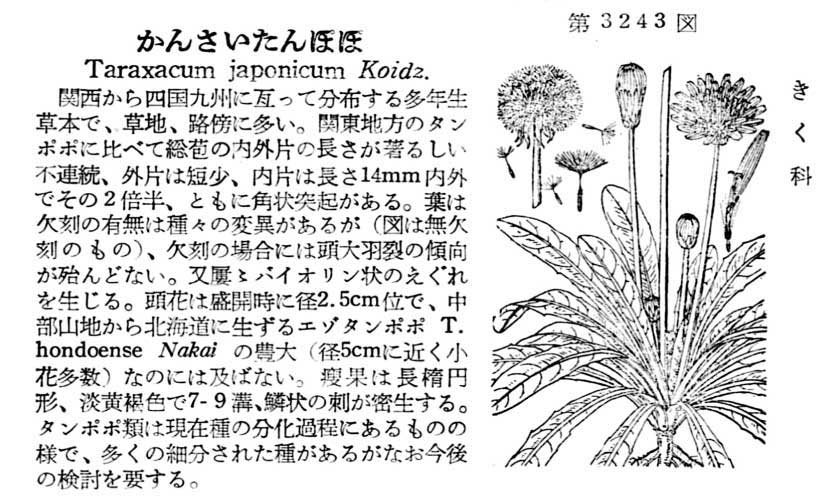 植物図鑑