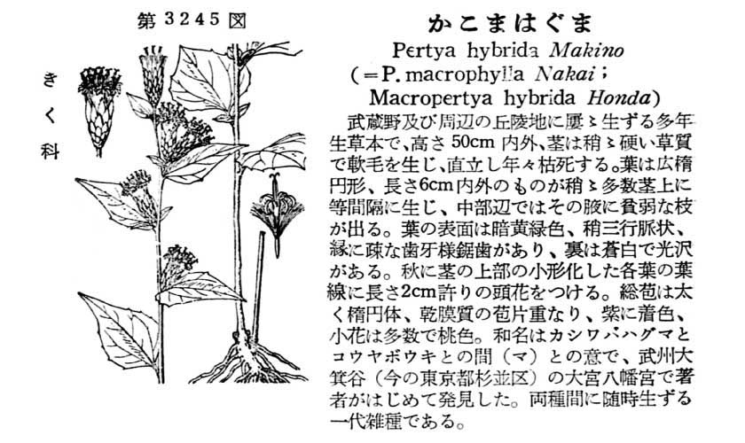 植物図鑑