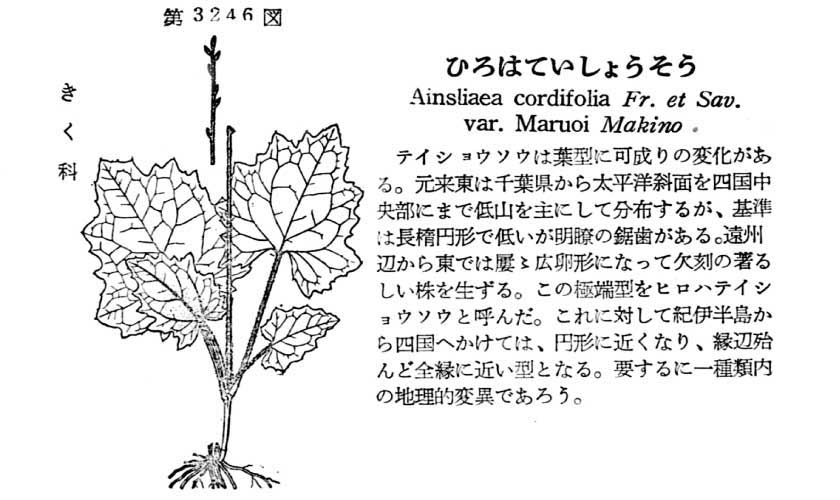 植物図鑑