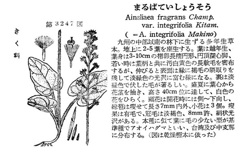 植物図鑑