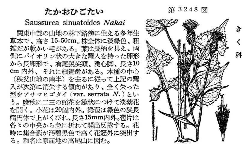 植物図鑑