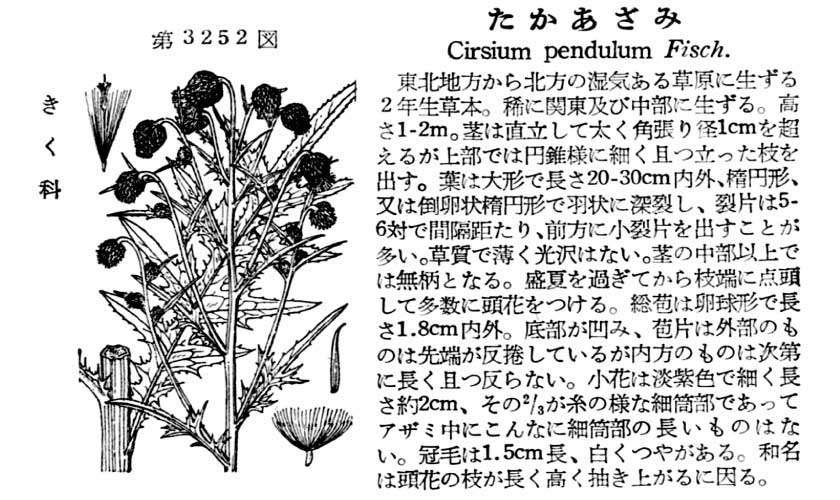 植物図鑑