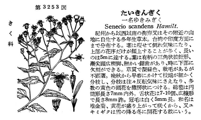 植物図鑑