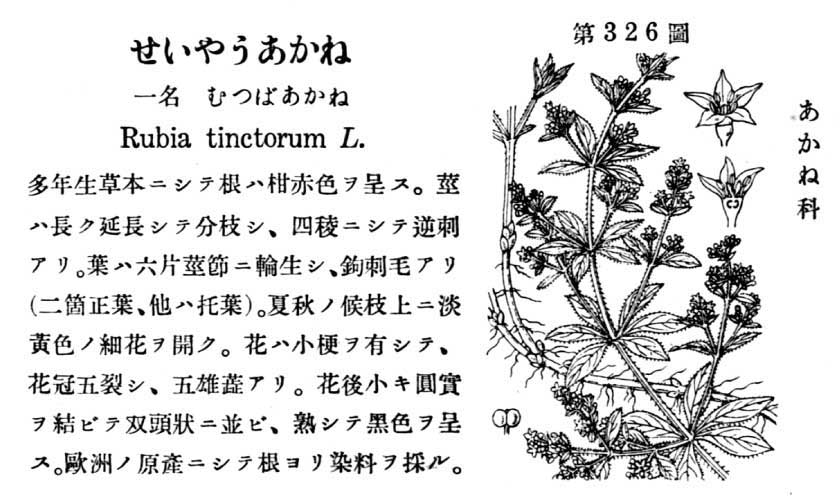 植物図鑑