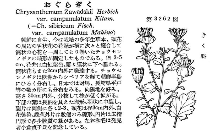 植物図鑑