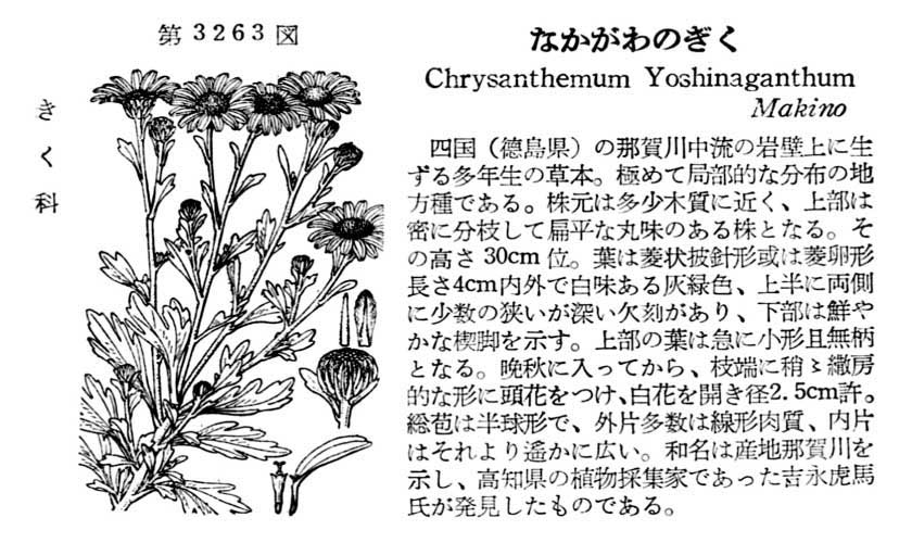 植物図鑑