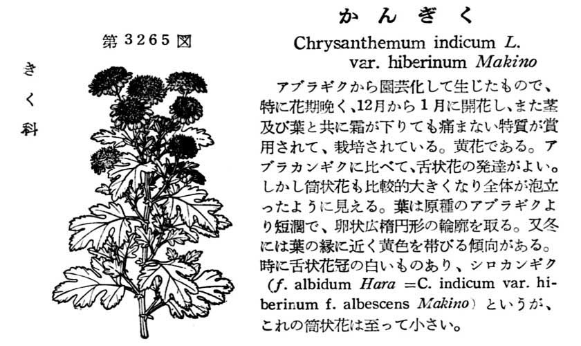 植物図鑑