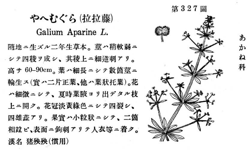 植物図鑑