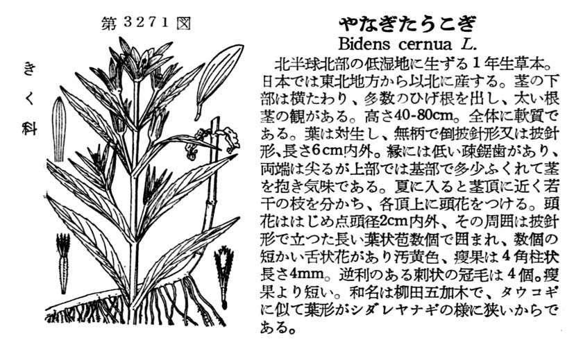 植物図鑑