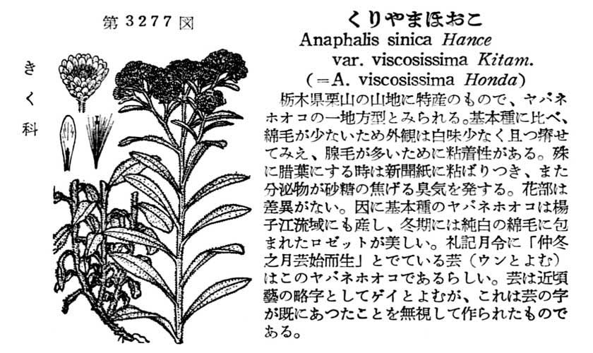 植物図鑑