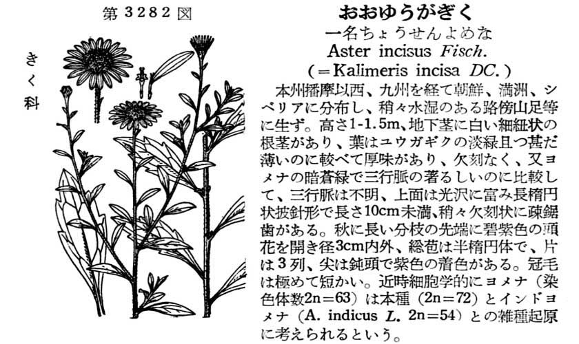 植物図鑑