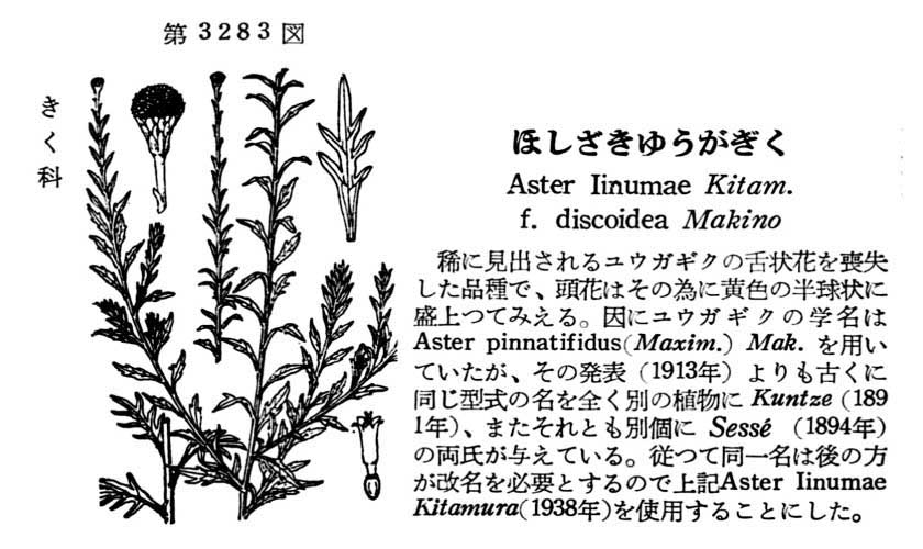 植物図鑑